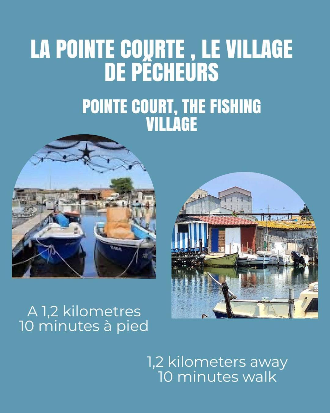 L' Oursin Appartement Sète Buitenkant foto